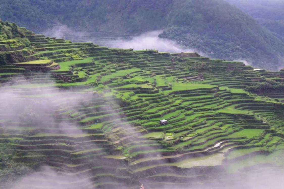 Vilma'S Homestay Bontoc  Ngoại thất bức ảnh